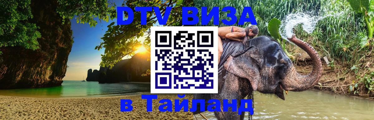 Сколько стоит DTV виза — актуальные цены, оформление даже без документов - 